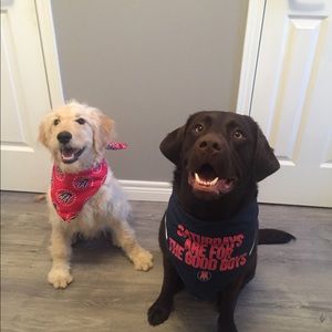 Meet your Posher, Dustin